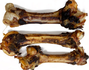 Emu Femur Bone (each)