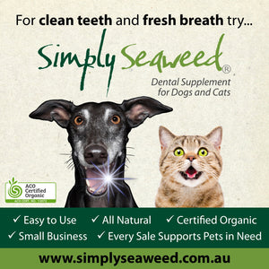 Seaweed dental supplement - for dogs and cats